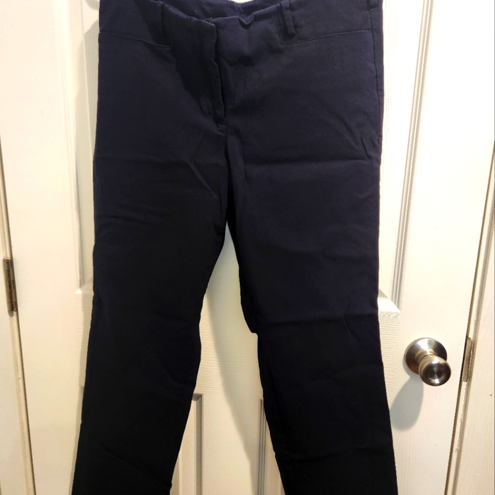 Women's Lane Bryant Navy Pants